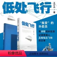 [正版] 低处飞行 现象级网红诗人王计兵 2600多万人阅读 “叛变”的外卖员用诗歌找补生活 记录普通人且匍匐且飞翔的