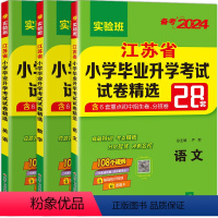 (3本)语数英-小升初试卷精选28套卷 小学升初中 [正版]小升初2024江苏省小学毕业升初中考试卷精选28套卷语文数学