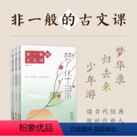 非一般的古文课 [正版]非一般的古文课全3册梦华录+归去来+少年游 蔡朝阳 著 读古代经典 做时代新人中小学适用 读古代