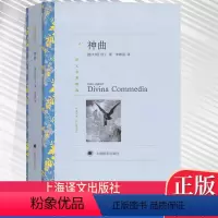 [正版]YW送书签!世界文学名著(蓝色)译文名著精选:神曲 (意大利)但丁 著 朱维基 译 上海译文出版社 中文版 神