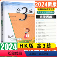 金三练 化学 九年级下册 沪教版 九年级/初中三年级 [正版]2023版新编金3练金三练 化学 九年级下册9年级下