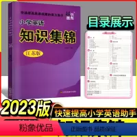 [正版] 小学 英语 知识集锦 快速提高英语成绩的得力助手 小学英语江苏版 小学生通用教辅工具书英语基础知识专项练习小