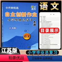 自主创新作业语文 小学毕业总复习一本通 小学六年级 [正版]超能学典备考2024小升初自主创业作业小学毕业总复习一本通语