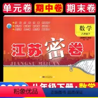 [正版]全新 2024版 江苏密卷 八年级 8年级 数学 下册 江苏版 苏科版 含答案 新理念 新思维 东南大学出版