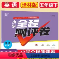 英语 译林版 五年级下 [正版]2024春通城学典全程测评卷小学英语五年级下册5年级下苏教版译林版小学生同步卷子强化