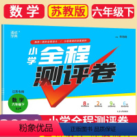 数学 苏教 六年级下 [正版]2024春通城学典全程测评卷小学数学六年级下册6年级下苏教版江苏版小学生同步卷子强化训