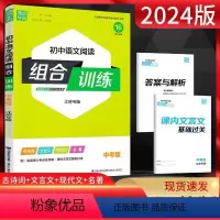 初中语文阅读组合训练 中考版 九年级下 [正版]2024年新版通城学典初中语文阅读组合训练 中考版 江苏专版中学生语