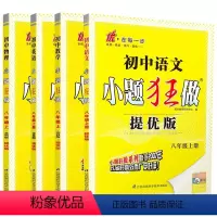 [提优版]语数英物 八年级 上册 江苏专用 八年级/初中二年级 [正版]2024新版初中数学小题狂做八年级上下册巅峰提优