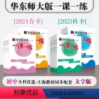 语数英物化套装5册 九年级/初中三年级 [正版]2024年华东师大版一课一练 六年级七年级语文+数学+英语+物理+化学