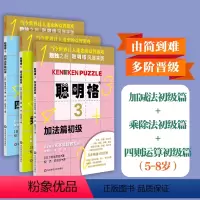 [正版]聪明格初级篇3册套 加法+乘法四则运算 全脑思维益智游戏书5-8岁 数学算术训练工具肯肯数独 小学心算速算趣味