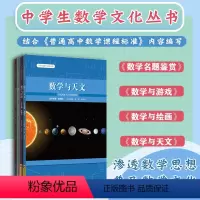 [正版]中学生数学文化丛书4册套 初等数学名题鉴赏+数学与天文+数学与游戏+数学与绘画 课外拓展 华东师范大学出版社