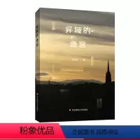 [正版]异域的迷宫 薛忆沩全新随笔集 精装散文集 图书 华东师范大学出版社