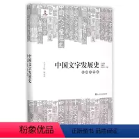 [正版]中国文字发展史 民族文字卷 精装附光盘 臧克和主编 语言文字学史史料 第四届中国出版政府奖(图书奖) 华东师范