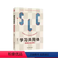 [正版]学习共同体 用课例告诉你 大夏书系 教师专业发展 课例研究助力教师成长