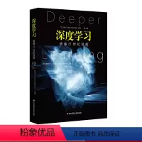 [正版]深度学习 超越21世纪技能 21世纪人类学习的革命译丛 第二辑 人是如何学习的 教育挑战 学习方法研究