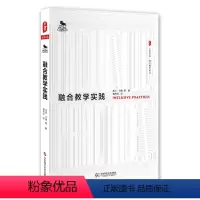 [正版]融合教学实践 大夏书系 西方教育前沿 美国教师工具书 教师教育理论 中小学教学方法研究 华东师范大学出版社