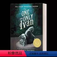 独一无二的伊凡 精装插图版 [正版]的伊凡 英文原版 The One and Only Ivan 的伊万 纽伯瑞金奖 儿