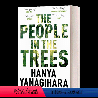 林中秘族 [正版]渺小一生 A Little Life 小生活 英文原版小说 英版 柳原汉雅 外国文学 Hanya Ya