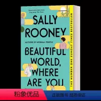 美丽的世界 你在哪里 [正版]聊天记录 英文原版 Conversations with Friends 萨莉鲁尼小说 泰