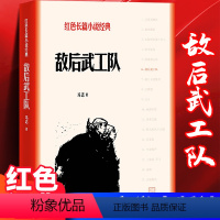 [正版]敌后武工队 红色长篇小说经典 冯志著 描写冀中军民抗日斗争故事的长篇小说 中国人民的伟大斗争精神 强烈的爱国主