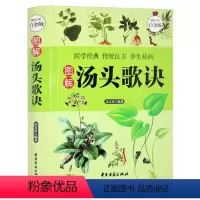 [正版] 汤头歌诀 白话解彩图版 选录中医常用方剂300余方方剂学中药书中草药详解古典药方书籍 民间家庭养生偏方秘方大