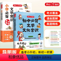 [全2册]小升初必背文学文化常识 [正版]初中必背文学文化常识2023版文学常识积累大全通用版中国文学文化常识阅读文言文