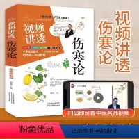 [正版]视频讲透伤寒论 原著中医书籍大全 彩图典藏版含原文注释译文 杂病论医药大全中医书籍中草药彩图大全书医学类书籍中