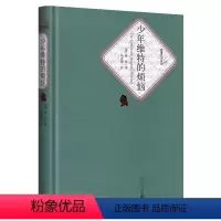 [正版]送有声书少年维特的烦恼 歌德著 杨武能原版原著 之烦恼全译本无删减青少版初中高中版世界名著小说书籍