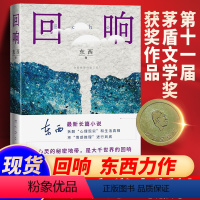 [正版]回响 东西长篇力作 拆解心理现实和生活真相+情感推理侦破推理小说模式中国现当代文学书籍书