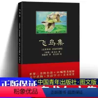 [正版] 飞鸟集(彩绘珍赏版) (印)拉宾德拉纳特·泰戈尔(汉英双语彩绘珍赏版)著 郑振铎 译杜文涓绘 世界名飞鸟集