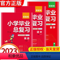 语文数学英语三本套装 小学通用 [正版]2023实验班小学毕业总复习语文数学英语江苏适用视频精讲提优版小升初毕业升学总复