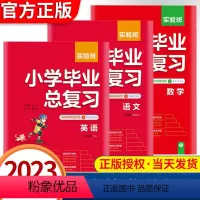语文数学英语三本套装 小学通用 [正版]2023实验班小学毕业总复习语文数学英语江苏适用视频精讲提优版小升初毕业升学总复
