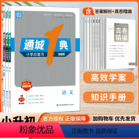 语数英[三本套] 小学升初中 [正版]2024通城1典小学总复习语文数学英语六年级升初中毕业升学系统强化训练小考知识点汇