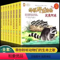 西顿野生动物 全套8册 [正版]西顿动物故事集荒地野狼大角羊克拉格忠犬珍克酷小丫全8册彩绘版小学生一至六年级通用课外阅读