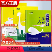 语文 七年级下 [正版]2024小练大卷得高分语文数学英语人教苏科译林版初中生七7八8九9年级上下册同步练习册课时专题重