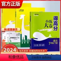 语文 七年级下 [正版]2024小练大卷得高分语文数学英语人教苏科译林版初中生七7八8九9年级上下册同步练习册课时专题重