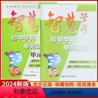 道德与法治[九年级总复习] 九年级/初中三年级 [正版]2024智慧学习初中学科单元试卷九年级总复习道德与法治人教版RJ