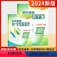 初中名校化学教学案+课课练[沪教版] 九年级下 [正版]2024版初中名校化学教学案课课练九年级下册沪教版初三9年级下同