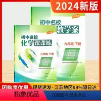 初中名校化学教学案+课课练[沪教版] 九年级下 [正版]2024版初中名校化学教学案课课练九年级下册沪教版初三9年级下同