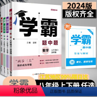 英语 组合训练[苏州专版] 八年级上 [正版]2024学霸题中题八年级上下册数学物理英语化学苏科版初中 生初二同步练习题