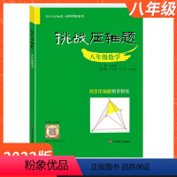 挑战压轴题 八年级数学[同步精讲精练] [正版]挑战压轴题精讲精练七年级数学初中生初一7年级专项组合训练难题尖子生题库新