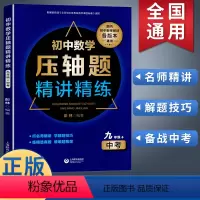 初中数学压轴题精讲精练 九年级+中考 初中通用 [正版]初中数学压轴题精讲精练初中七年级八年级九年级中考初一初二初三数学