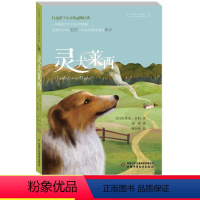 三年级下册阅读考级全套6本 [正版]灵犬莱西中国少年儿童出版社打动孩子心灵的动物小说故事书外国文学读物常熟考级书目小学生