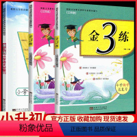 金3练总复习 语数英3册 小学通用 [正版]金三练小学总复习语文数学英语江苏版六年级升初中七年级知识点汇总阅读理解语法集