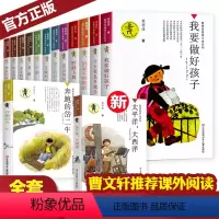 太平洋,大西洋 [正版]黄蓓佳倾情小说系列全套14册 太平洋大西洋我要做好孩子书今天我是升旗手童眸亲亲我的妈妈 中小学生