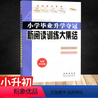 新阅读训练大集结 小学升初中 [正版]小学语文升学夺冠知识大集结全新升级版小学语文基础知识大全小升初数学知识大集结小学语