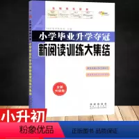 新阅读训练大集结 小学升初中 [正版]小学语文升学夺冠知识大集结全新升级版小学语文基础知识大全小升初数学知识大集结小学语