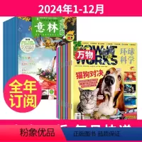 2[全年订阅]2024年1-12月 [正版]全年组合订阅万物+意林少年版 2024年/2025年1-12月起订月任选 2