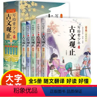 写给青少年的古文观止 [正版]写给青少年的古文观止全5册小古文小学初中高中注音详解注释版中学生经典选读中国古诗词诗经大全