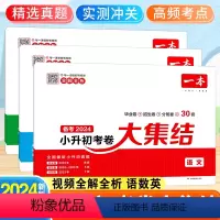 [备考2024-3本]语文+数学+英语 小学升初中 [正版]2024新小升初考卷大集结语文数学英语一本小学毕业升学考卷大